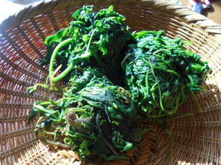 DSCN6993.JPG